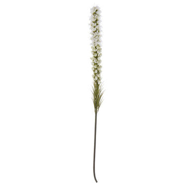 White Blazing Star Stem