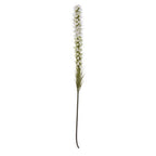 White Blazing Star Stem
