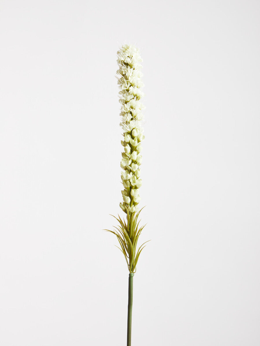White Blazing Star Stem