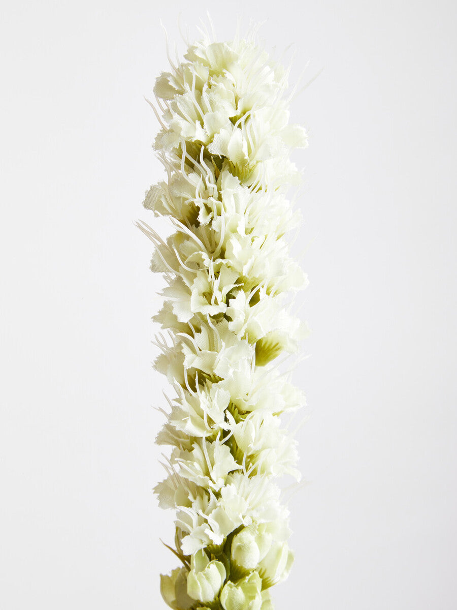 White Blazing Star Stem