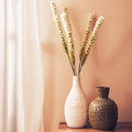 White Blazing Star Stem