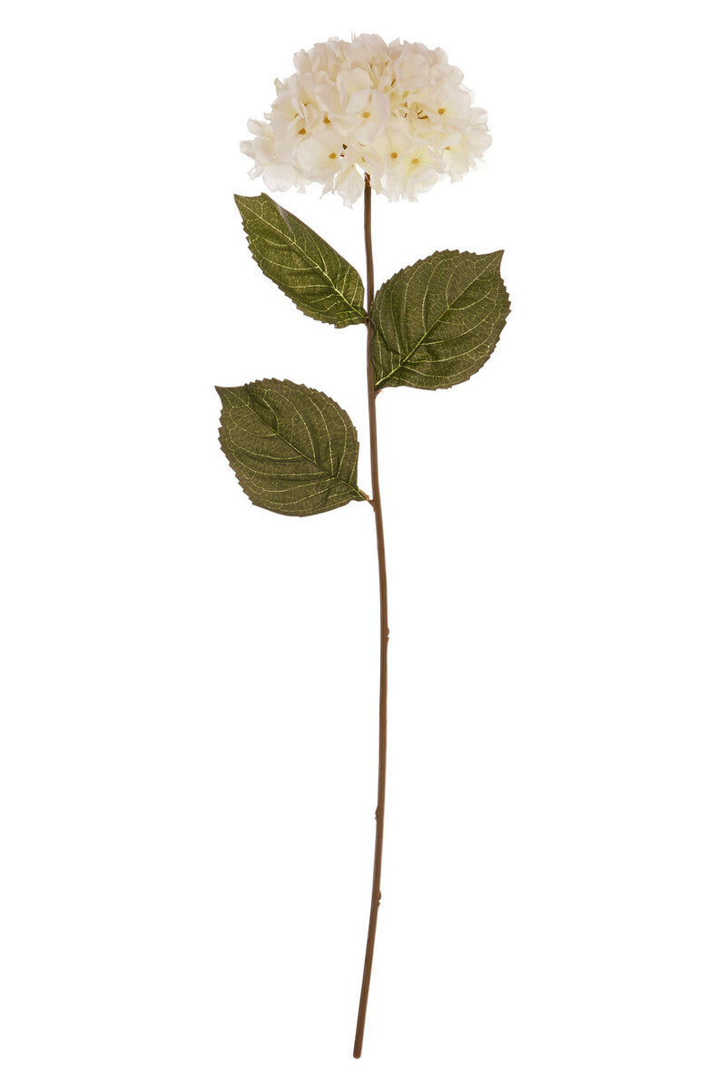 Cream Hydrangea Stem