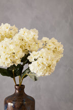 Cream Hydrangea Stem