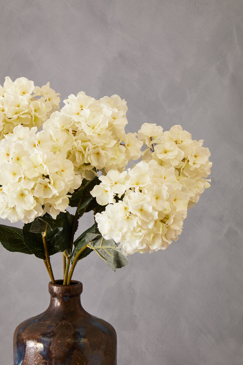 Cream Hydrangea Stem