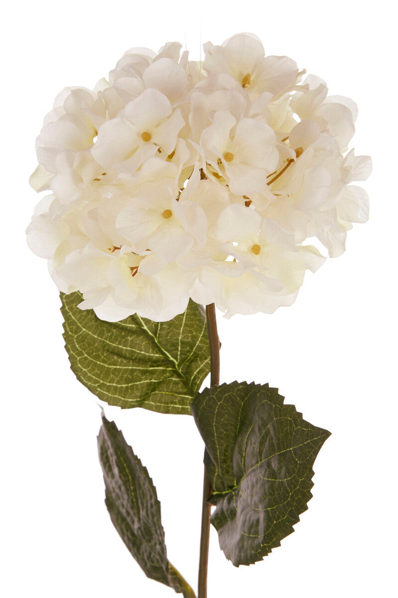Cream Hydrangea Stem