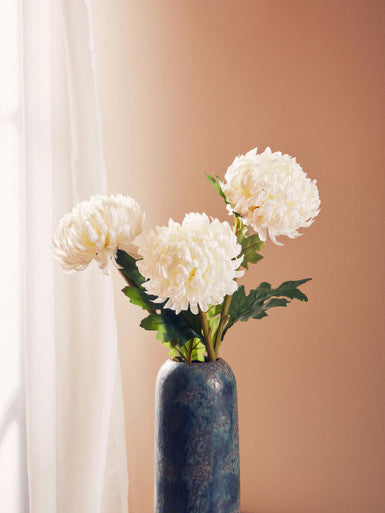 White Chrysanthemum Stem