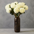 White Chrysanthemum Stem