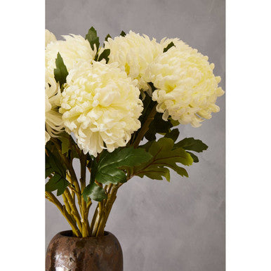 White Chrysanthemum Stem