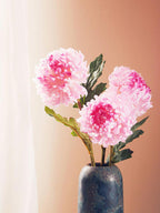 Pink Chrysanthemum Stem
