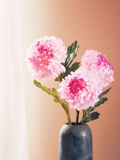 Pink Chrysanthemum Stem
