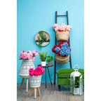 Pink Chrysanthemum Stem