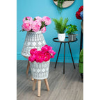 Pink Chrysanthemum Stem