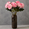 Pink Chrysanthemum Stem