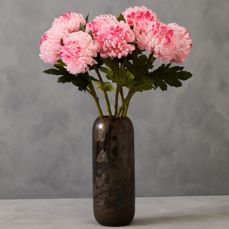 Pink Chrysanthemum Stem