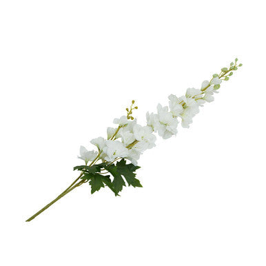 Tall White Delphinium Stem