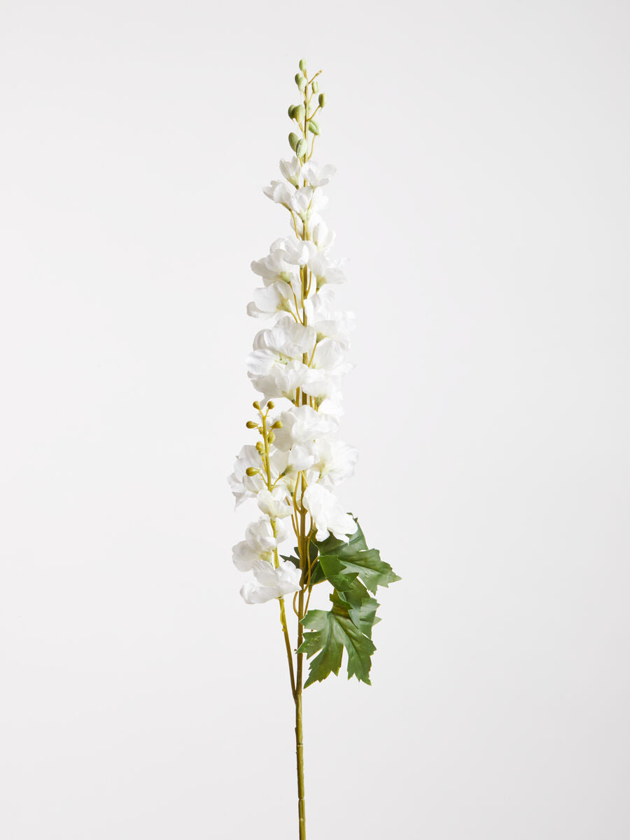 Tall White Delphinium Stem