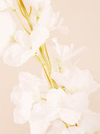 Tall White Delphinium Stem