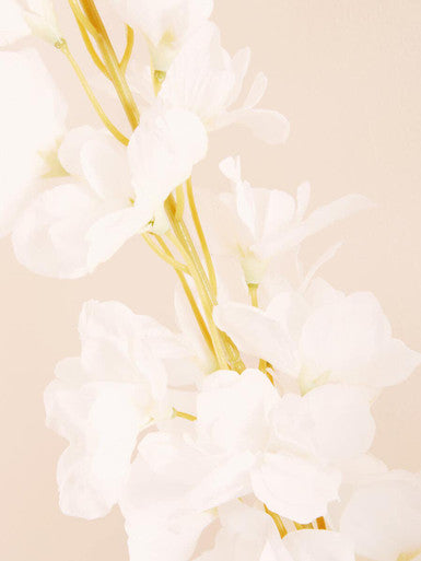 Tall White Delphinium Stem