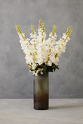 Tall White Delphinium Stem