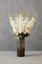 Tall White Delphinium Stem