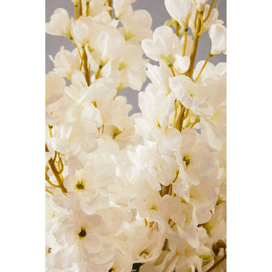 Tall White Delphinium Stem