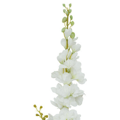 Tall White Delphinium Stem