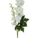 Tall White Delphinium Stem