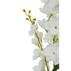 Tall White Delphinium Stem