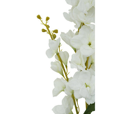 Tall White Delphinium Stem