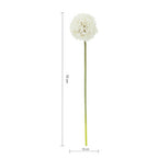 Ivory Allium Stem