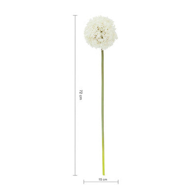 Ivory Allium Stem