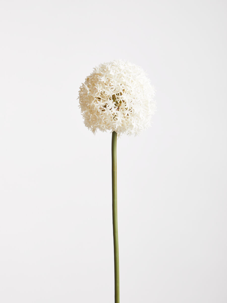 Ivory Allium Stem