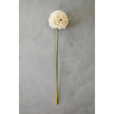Ivory Allium Stem