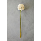 Ivory Allium Stem