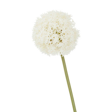 Ivory Allium Stem