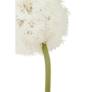 Ivory Allium Stem