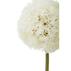 Ivory Allium Stem