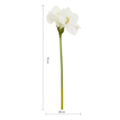 Ivory Amaryllis Stem