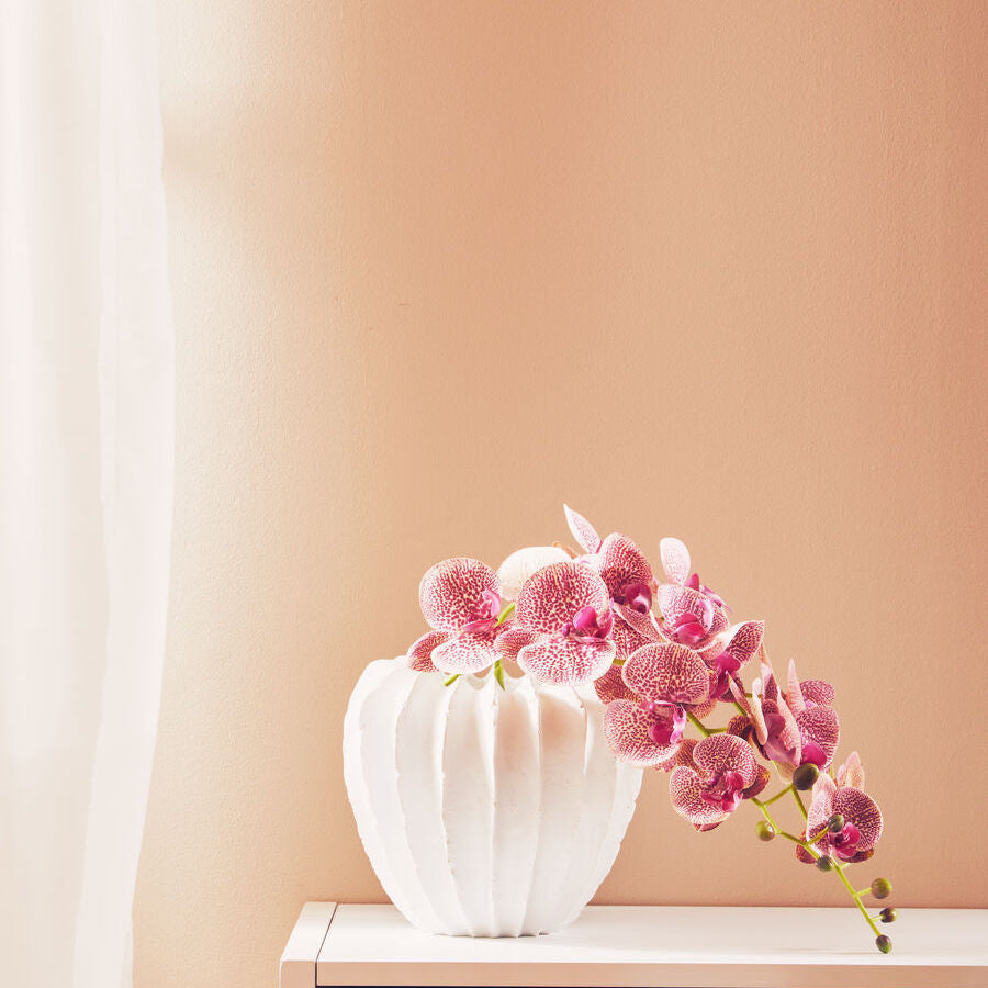 Tall Pink Orchid Stem