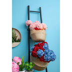 Red Hydrangea Stem