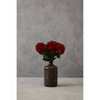 Red Hydrangea Stem