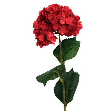 Red Hydrangea Stem