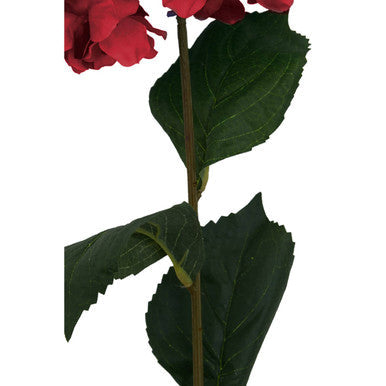 Red Hydrangea Stem