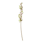 Tall Pink Cherry Blossom Stem