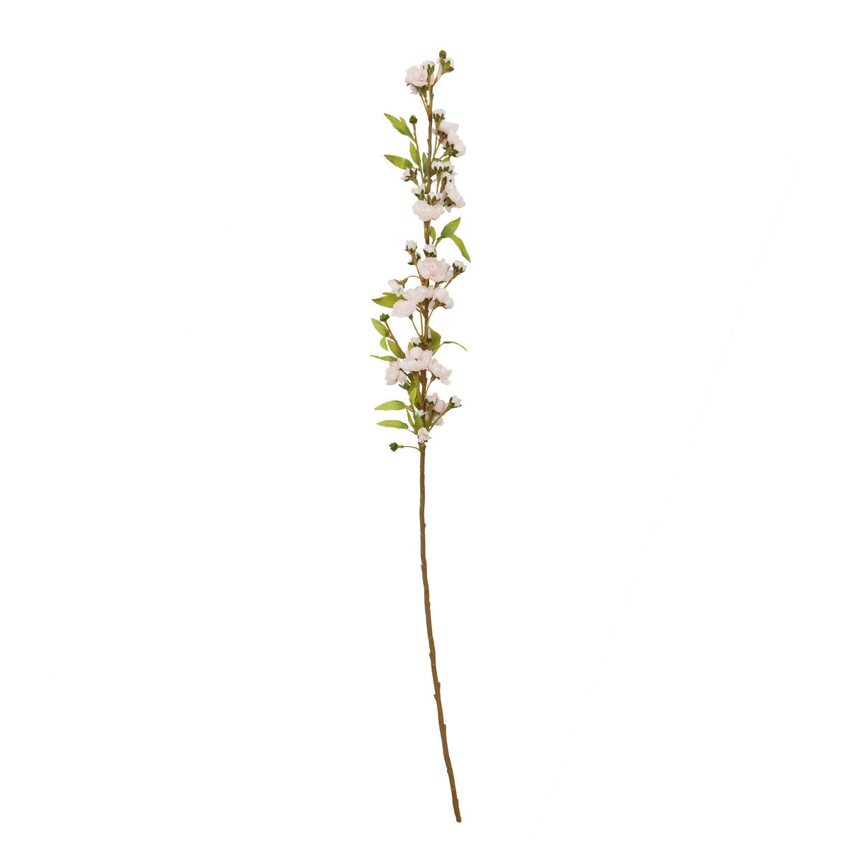 Tall Pink Cherry Blossom Stem
