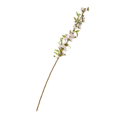 Tall Pink Cherry Blossom Stem