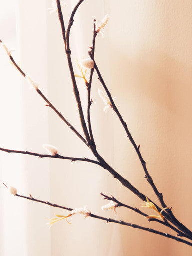 Tall Pink Cherry Blossom Stem
