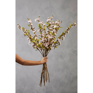 Tall Pink Cherry Blossom Stem