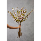 Tall Pink Cherry Blossom Stem
