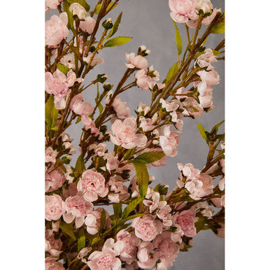 Tall Pink Cherry Blossom Stem